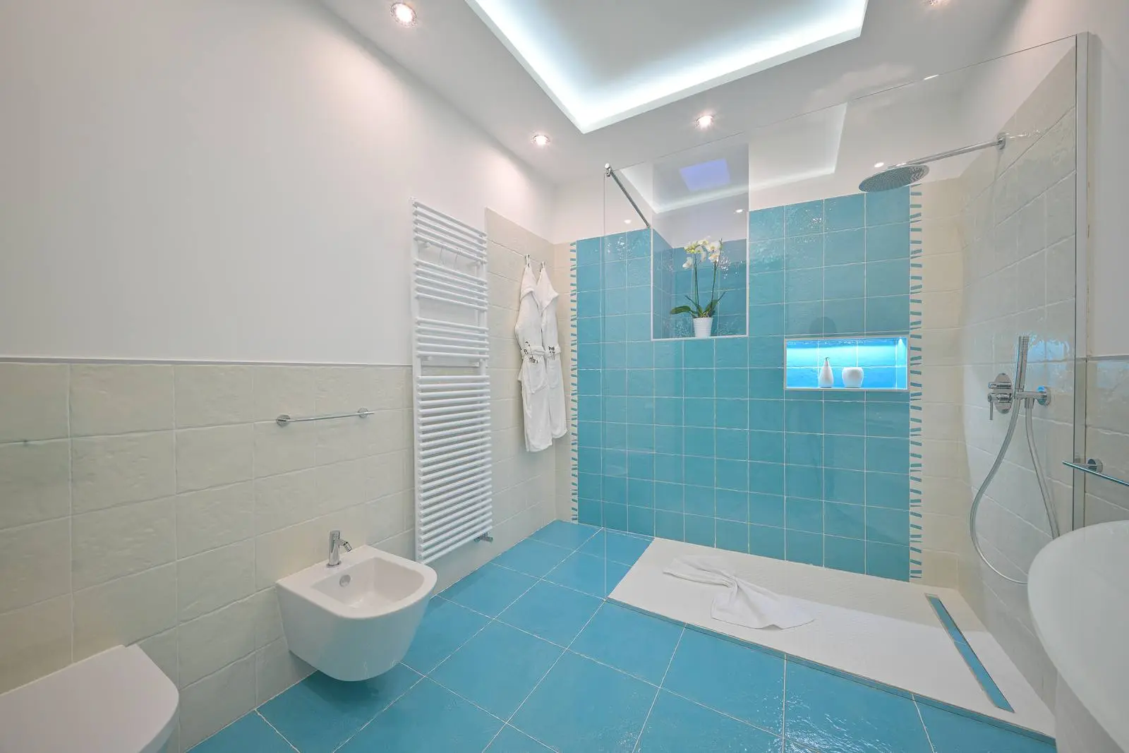 The shower